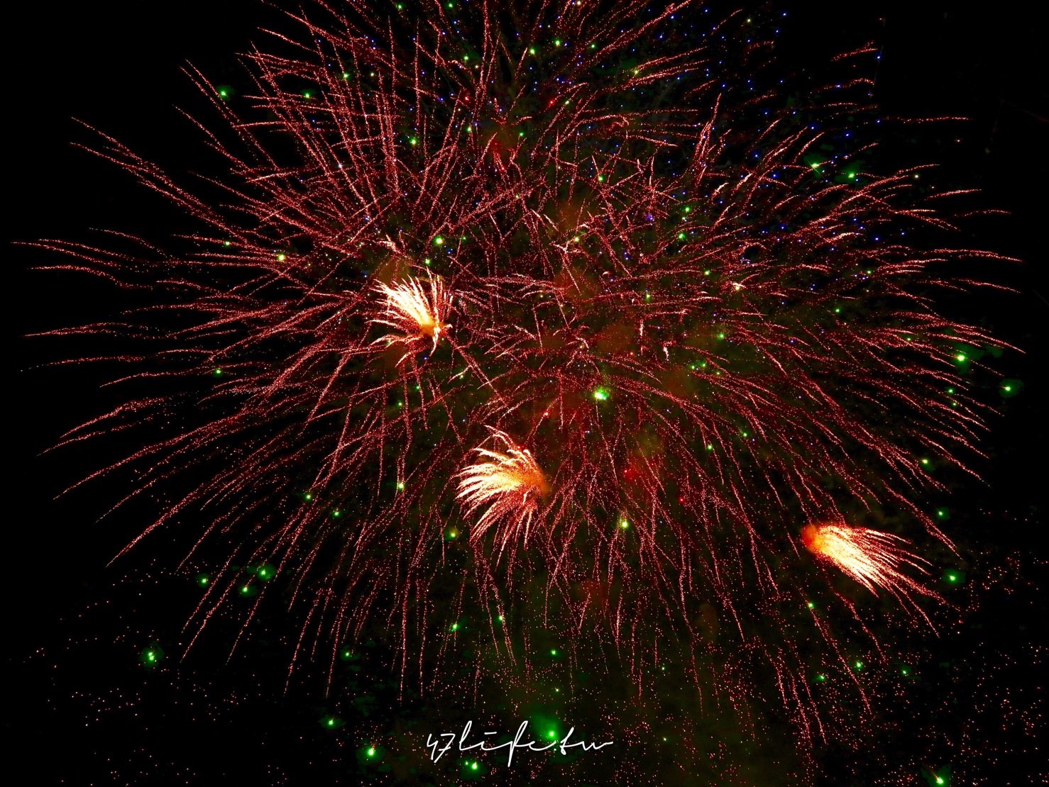 20241007-052b3