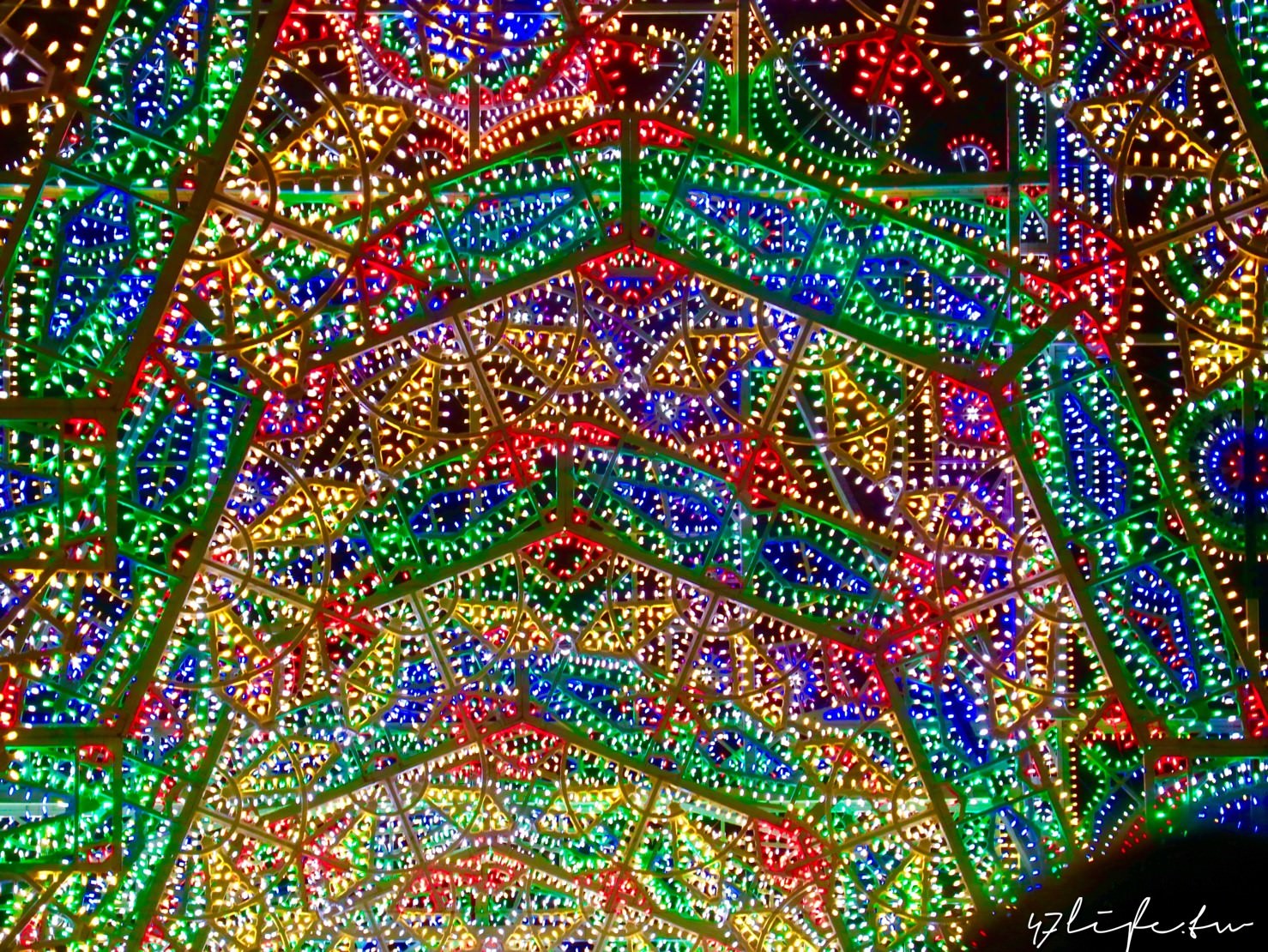 20241007-3j8rh