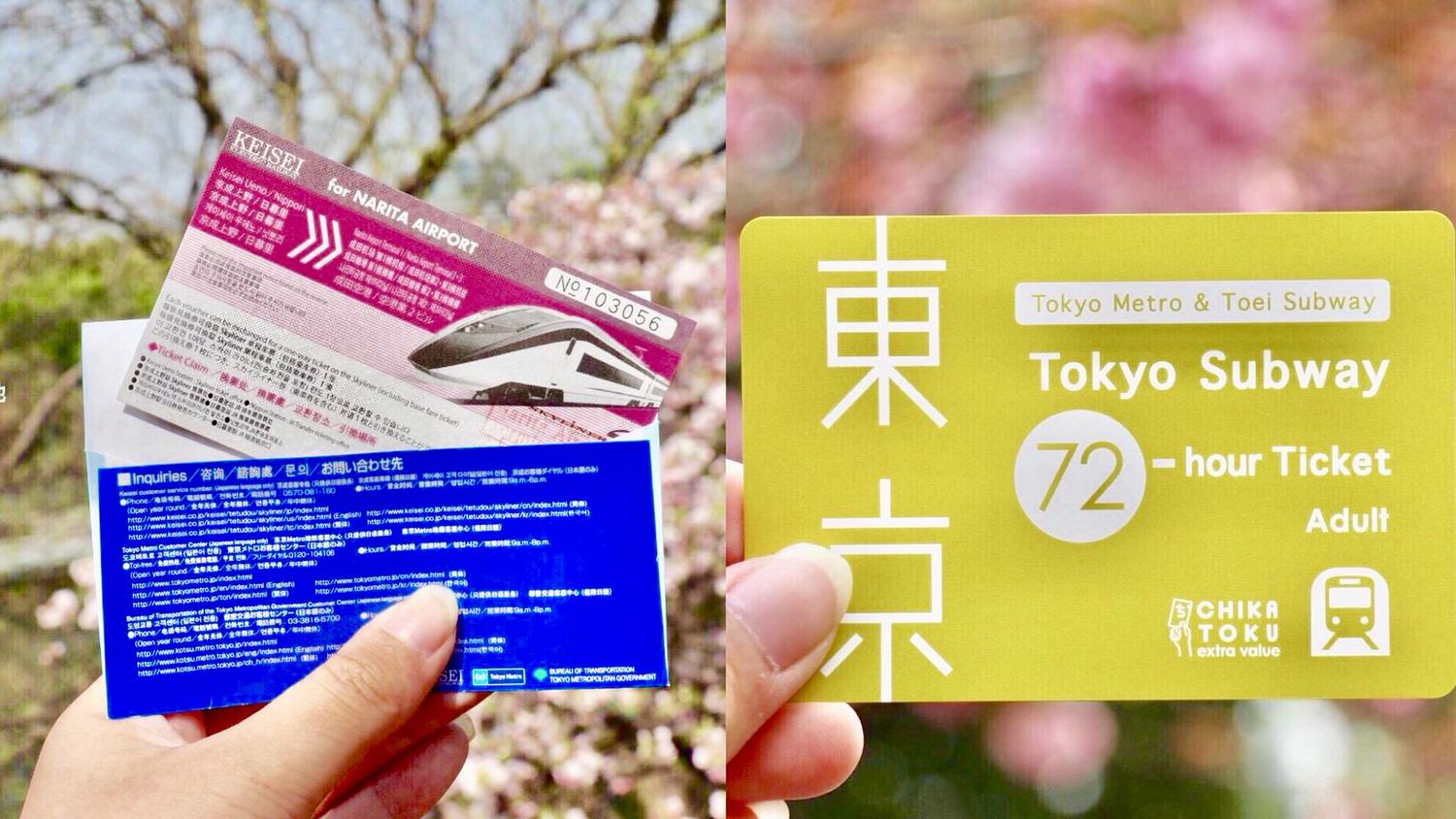 20241007-2e7e9 20241007-2e7e9