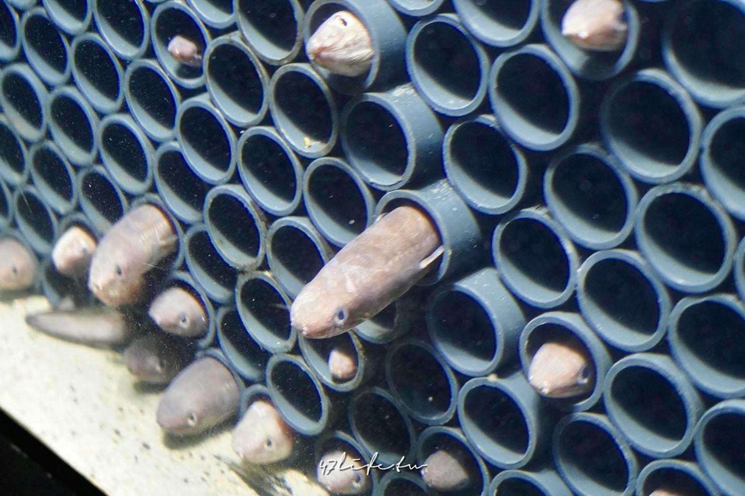 20241007-invxx