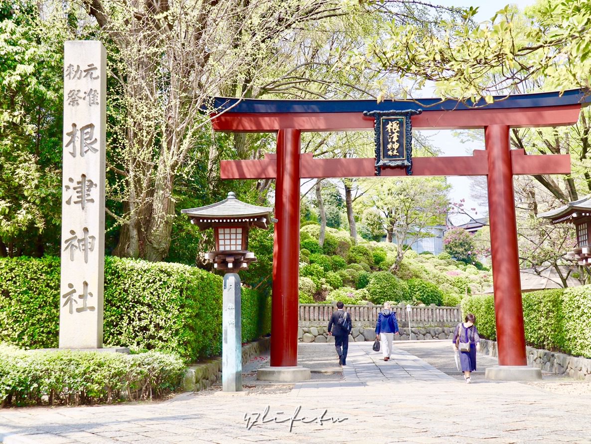 東京自由行 根津神社在幽靜的神社內漫步享受沒有杜鵑花的根津神社 47食樂天地